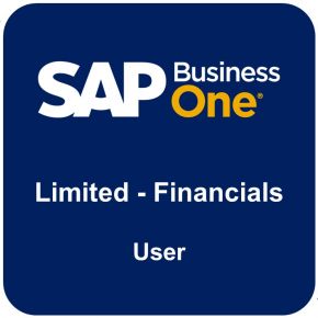 SAP BUISNESS ONE - Limited Financials User License - Perpetual