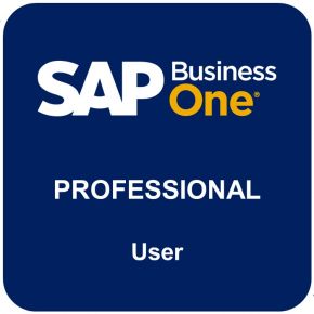 SAP BUISNESS ONE - Professional User License - Perpetual